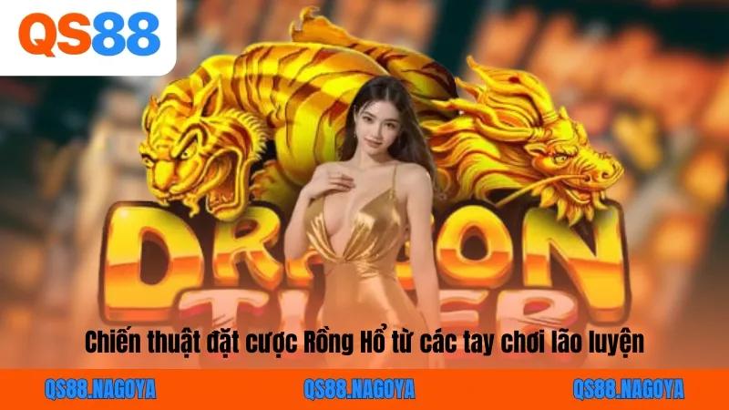 Chiến thuật đặt cược Rồng Hổ từ các tay chơi lão luyện