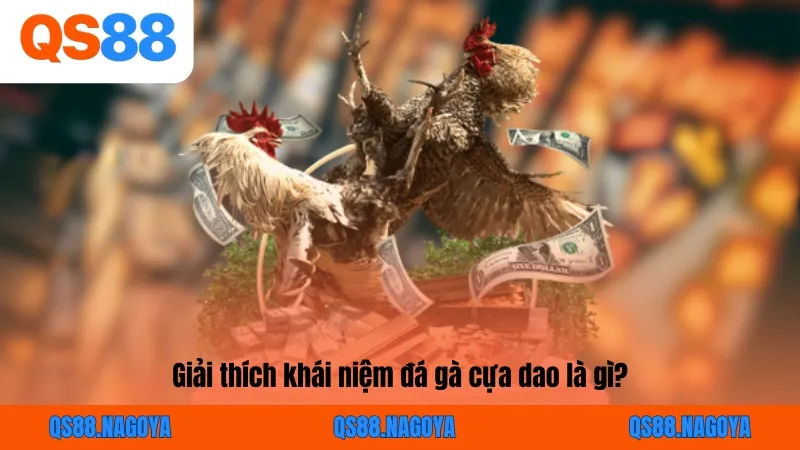 Đá gà cựa dao là gì?