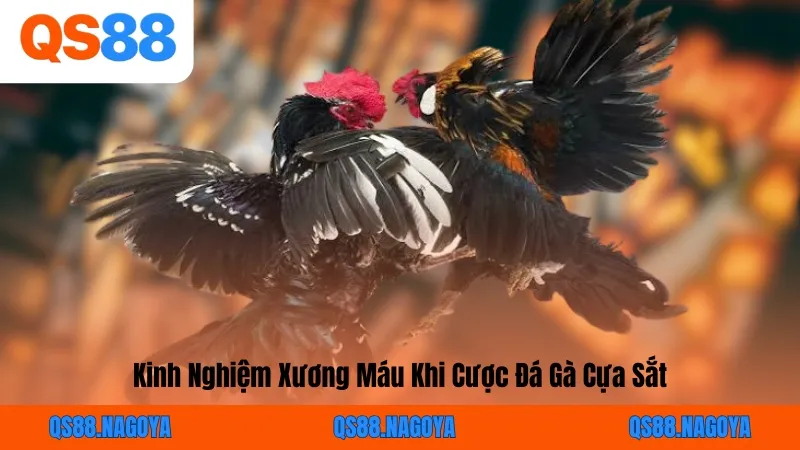 Kinh Nghiệm Xương Máu Khi Cược Đá Gà Cựa Sắt