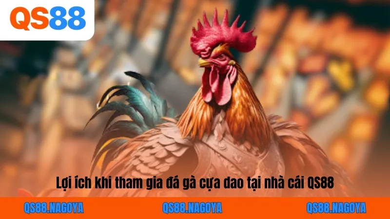 Lợi ích khi tham gia đá gà cựa dao tại nhà cái QS88
