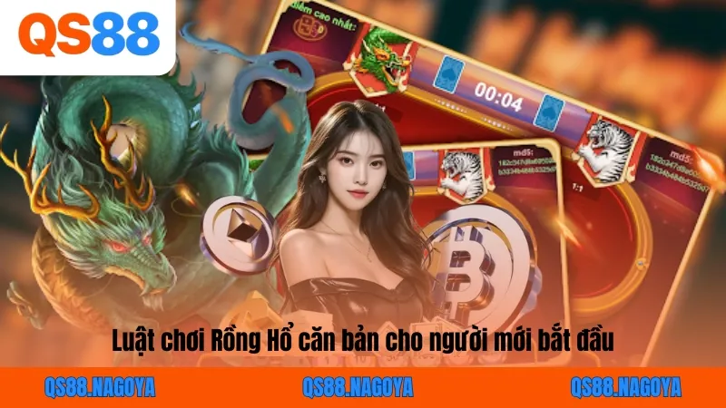 Luật chơi Rồng Hổ căn bản cho người mới bắt đầu