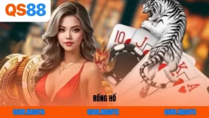 Cách Chơi Rồng Hổ Đơn Giản: Hướng Dẫn Chi Tiết Cho Newbie QS88
