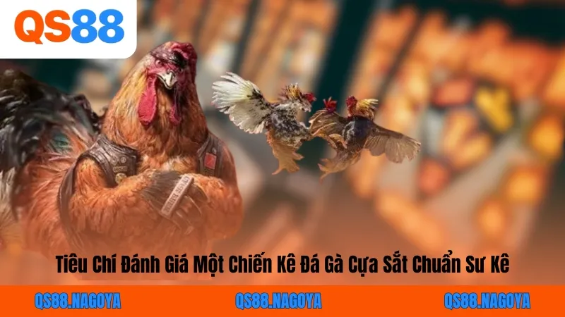 Tiêu Chí Đánh Giá Một Chiến Kê Đá Gà Cựa Sắt Chuẩn Sư Kê